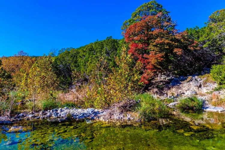 Lost Maples State